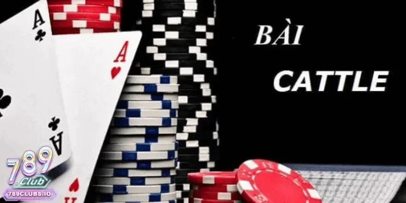 Game bài catte có lối chơi đơn giản nhưng thưởng lớn